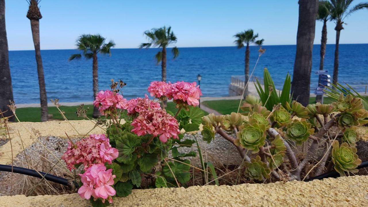 Magnificas Vistas Al Mar Daire Oropesa del Mar Dış mekan fotoğraf